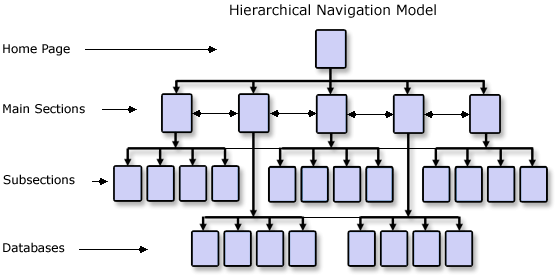 Hierarchical Model