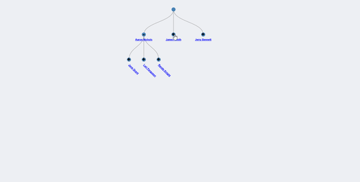 Plan The Hierarchy Of Your Website