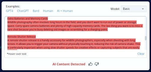 ai content detected 1