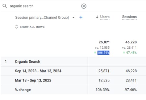 106.39% Increase in Organic Traffic