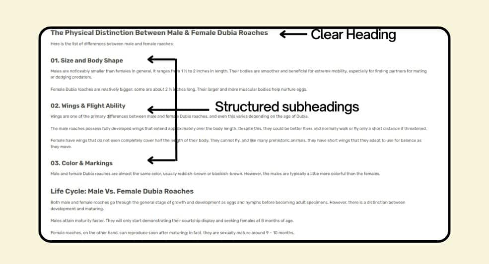 Implement Structured Data (Schema Markup)