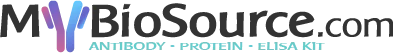 antibody-protein-elisa-kit