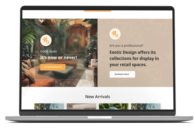 Deals and Professional Offer_ Dual Conversion Paths